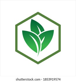 plantilla de diseño de ilustración de vector con logotipo de hoja de hexágono