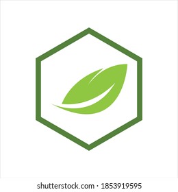 hexagon  leaf logo vector illustration design template