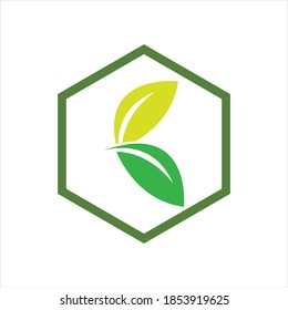 plantilla de diseño de ilustración de vector con logotipo de hoja de hexágono