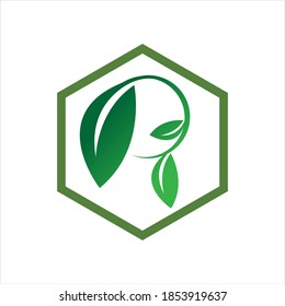 plantilla de diseño de ilustración de vector con logotipo de hoja de hexágono