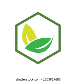 plantilla de diseño de ilustración de vector con logotipo de hoja de hexágono