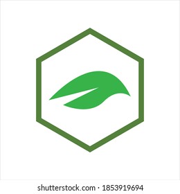 hexagon  leaf logo vector illustration design template