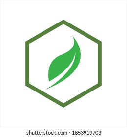 hexagon  leaf logo vector illustration design template