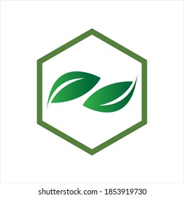 hexagon  leaf logo vector illustration design template