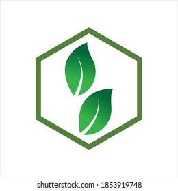 plantilla de diseño de ilustración de vector con logotipo de hoja de hexágono