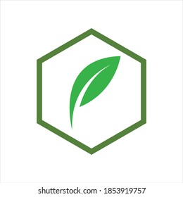 hexagon  leaf logo vector illustration design template
