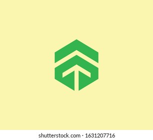 Hexagon leaf Modern Style Logo Icon Design Element