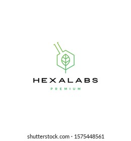 hexagon leaf nature lab hexalabs logo vector icon illustration	
