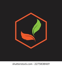 hexagon Leaf vector logo design on black background