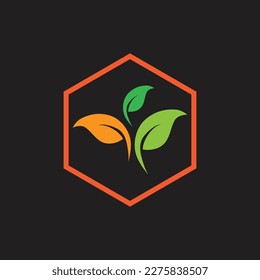 hexagon Leaf vector logo design on black background