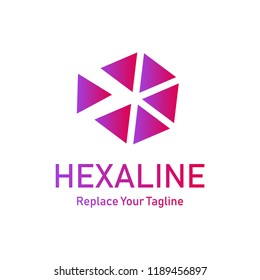 Hexagon Line Art Logo Style 