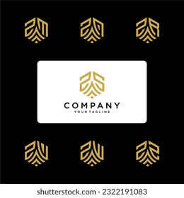 Hexagon-Logo mit 2 Initialen, hexagon-Monogramm-Logo, Vektorsymbol, reif, männlich, ausgefeilt, geometrisch, entwickelt, leistungsstarkes Logo.