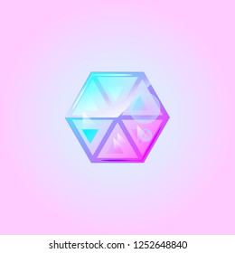Hexagon Logo Blue Purple