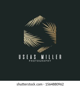 hexagon logo design, palm leaf illustration design, icon design template elements