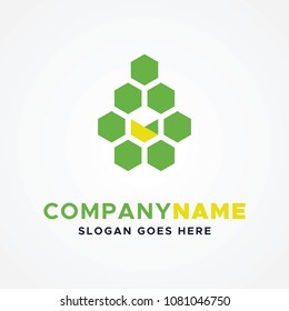 Hexagon Logo Template