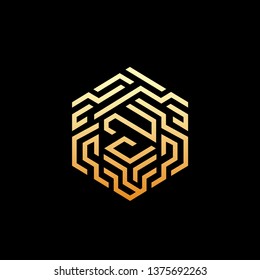 Hexagon, maze, 
labyrinth logo with technology concept