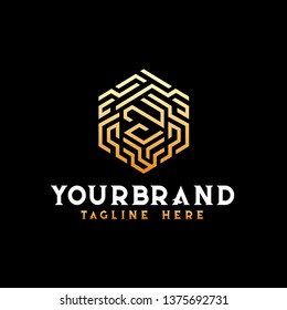 Hexagon, maze, 
labyrinth logo with technology concept