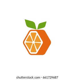Hexagon Orange Logo IV