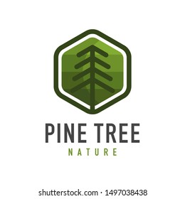hexagon pine tree logo - vector illustration design on a light background