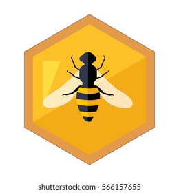 Hexagon Shape Honeycomb With Bee Insect In Center Cartoon Illustration