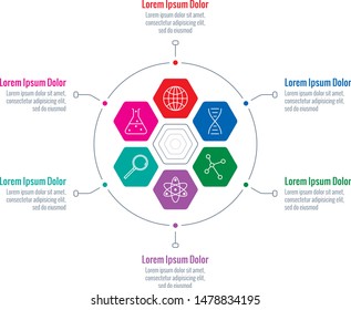 hexagon shape infographic. six steps infographic template. infographic concept