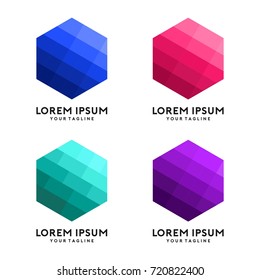 Hexagon Shape With Modern Polygonal Color Logo Template