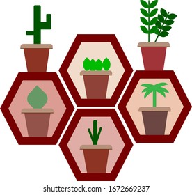 hexagon shelf holding plants in pots