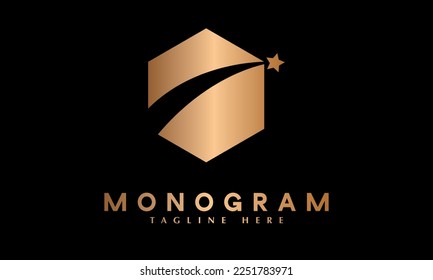 Hexagon star shape symbol of hope abstract monogram vector logo template