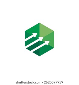 Hexagon Statistics logo design vector template