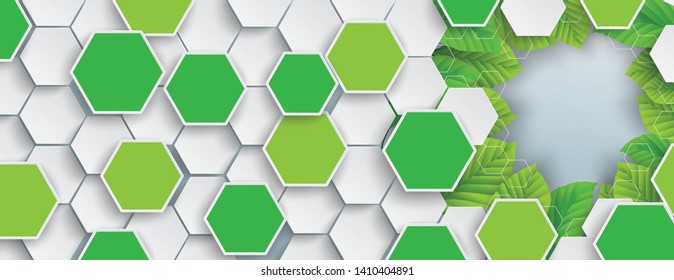 Hexagon structure green leaves on the gray background. Eps 10 vector file.