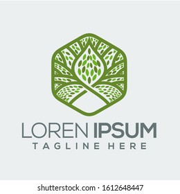 hexagon tree green logo vector