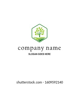 hexagon tree land logo icon