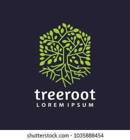 Hexagon Tree Root Logo Icon