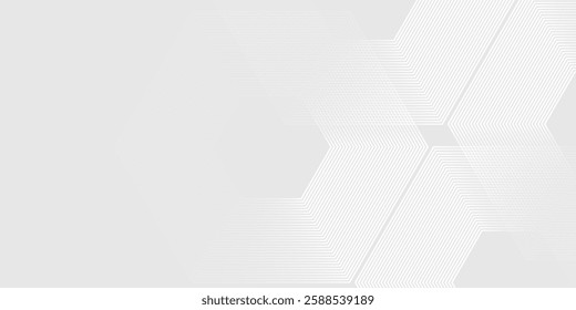 Hexagon white gray wave light technology texture background. Abstract big data digital concept illustration abstract