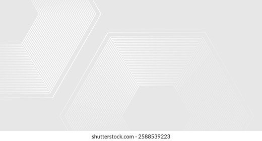 Hexagon white gray wave light technology texture background. Abstract big data digital concept illustration abstract modern design