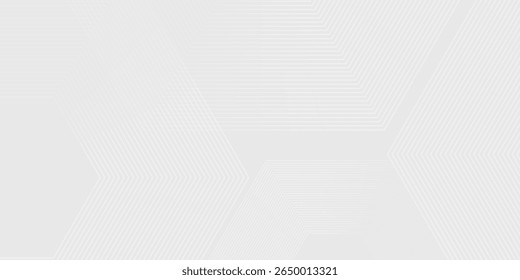 Hexagon white gray wave light technology texture background. Abstract big data digital concept simple art modern abstract