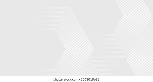 Fondo de textura de tecnología de luz de onda gris blanco hexagonal. Abstractas concepto digital de big data arte simple abstracto moderno