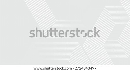 Hexagon white gray wave light technology texture background. Abstract big data digital concept simple art modern abstract. vector illustration eps10