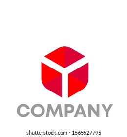 hexagon Y logo vector design template sign