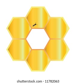 Hexagonal cells with honey and wasp on it