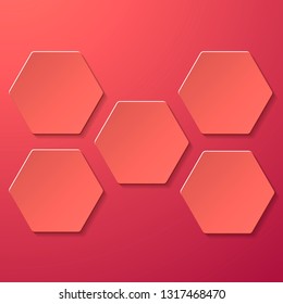 Hexagonal creative vector image with five options.