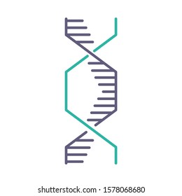 Hexagonal DNA helix violet and turquoise color icon. Deoxyribonucleic, nucleic acid structure. Spiraling strands. Chromosome. Molecular biology. Genetic code. Genome. Isolated vector illustration
