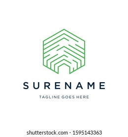 hexagonal finger print technology logo vector illustration icon