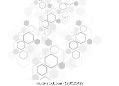 Hexagonal geometric background. Hexagons genetic and social network. Future geometric template. Business presentation for your design and text. Minimal graphic concept. Vector illustration.