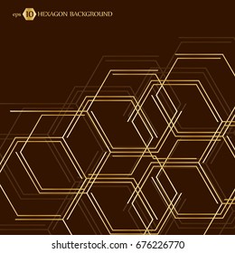 Hexagonal geometric background. Vector connection with lines and social network. Business presentation for your design and text. Minimal graphic concept. Eps 10 stock vector illustration