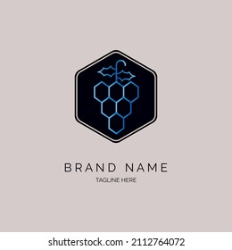 hexagonal grapes fruit logo icon template design for brand or company and other
