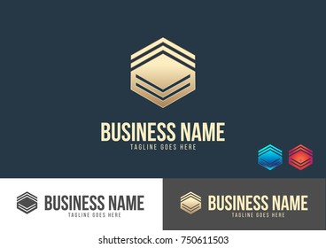 Hexagonal Logo Template Design Vector 