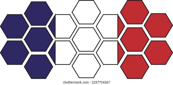 los hexágonos de la bandera francesa