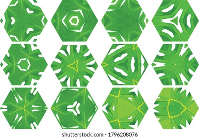 Hexagons or Snowflakes or ornaments which fills in with green leaf organic textured.