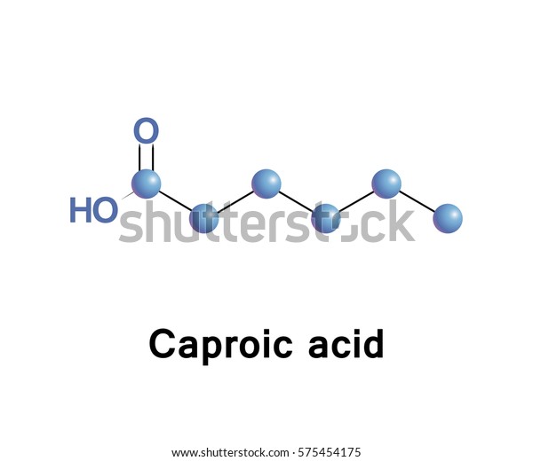 Hexanoic Caproic Acid Carboxylic Acid Derived Stock Vector Royalty Free 575454175